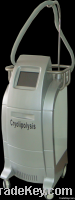 Vertical Cryolipolysis