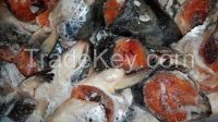 Salmon Heads