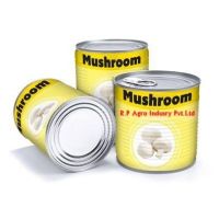 Canned Button Mushroom