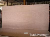 Okoume plywood BB/CC