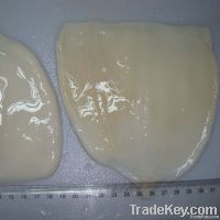 Todarodes pacificus squid fillets