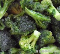 frozen foods frozen vegetables frozen broccoli