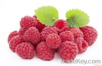 Frozen Raspberry