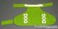 dog safety clothing