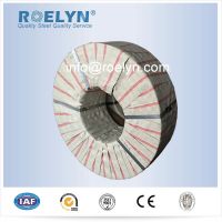 GI slit coil/galvanized strap From China