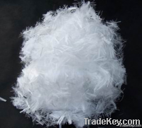 Polyester Fiber
