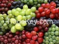 Table Grapes, Crimson Thompson seedless Green, Red, White, Rose Globe Grapes growers