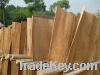 eucalyptus core veneer