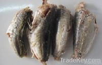 canned jack mackerel in brine