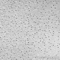 Acoustic Ceiling