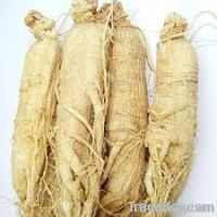 Ginseng Extract Powder