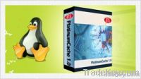 Platinium Cache