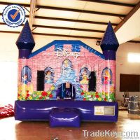 Hot Sale Inflatable Jumping Castle