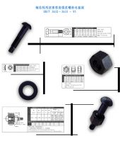 Sets of torshear type high strength bolt hexagon nut and plain wash