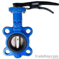 Wafer Type 2' Butterfly Valve(D71X)