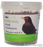 100g of Tub Premuim Dried Mealworms For Your Wild Bird