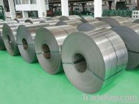 Cold Rolled Stainless Steel Coil Grade 304