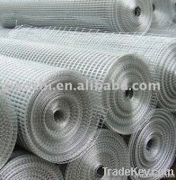 Galvanized Welded Wire Mesh