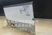 Laptop Screen