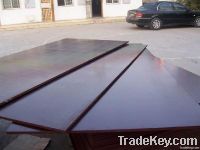 Film Faced Shuttering Plywood