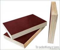 Film Faced Plywood For Construction