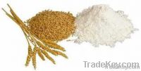 https://cn.tradekey.com/product_view/All-Purpose-Wheat-Flour-4412417.html