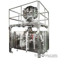 Horizontal pre-made packing machine