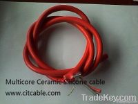 Ceramics Silicone Cable