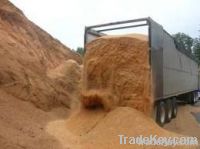 cashew husk for cattle feeding