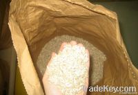 Sunflower Kernels