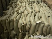 Corn Gluten Feed