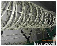 galvanized razor barbed wire