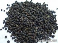 black pepper