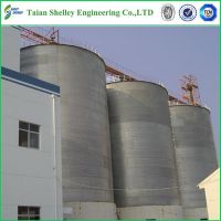 Sunflower Grain Storage Steel Silo For