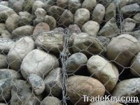 Gabion mesh