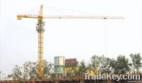 Shuangfeng Tower Crane QTZ 315 (4207)