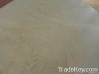 commercial plywood pine commercial  plywood, 1220*2440mm