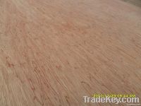 bintangor plywood bintangor veneer 1220*2440mm