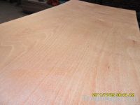 okumen plywood commercial plywood  okumen plywood 1220*2440mm