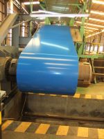 Prepainted Galvanized Steel Coils