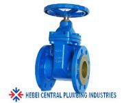 Sanitory butterfly valve