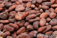 https://cn.tradekey.com/product_view/Best-Quality-Roasted-Cocoa-Beans-4835485.html