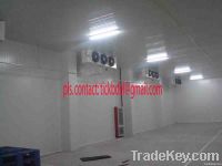 Cold Storage