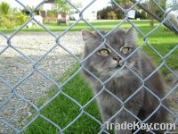 Galvanized Wire Chain Link Fence