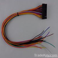 Wire Harness With Terminal