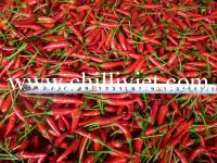 fresh red pepper