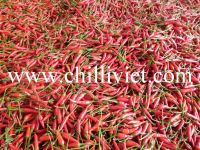 fresh chilli