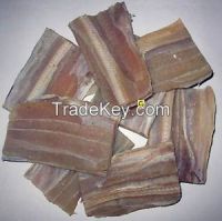 Shark dried fins &amp; meat