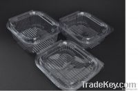 Disposable Plastic Hinged Lid Food Containers