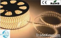 high voltage SMD3528 Flexible Strip Light